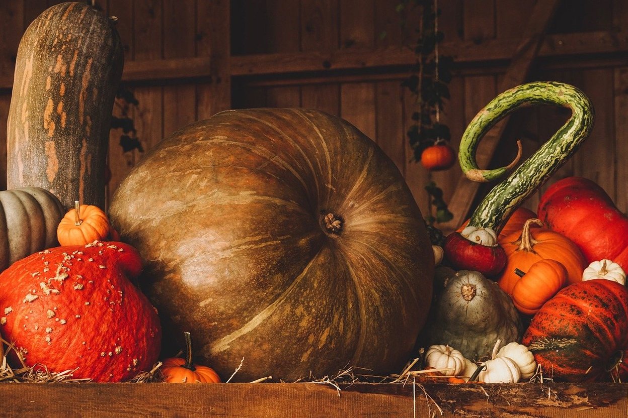 A carved pumpkin ornament resting on gravel in a freshwater aquarium, with green plants and clear water around it.