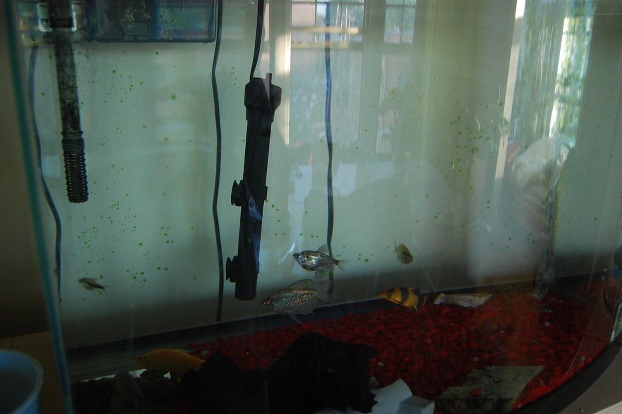 Fish tank with red gravel and hanging equipment.