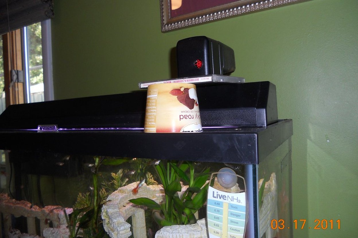 Aquarium with plants, fish, and a test kit on top.